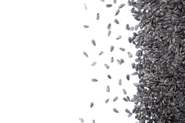 Doğal organik ayçiçeği tohumu makro görünümü arka plan üzerinde