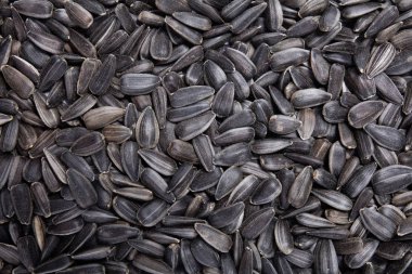 Doğal organik ayçiçeği tohumu makro görünümü arka plan üzerinde