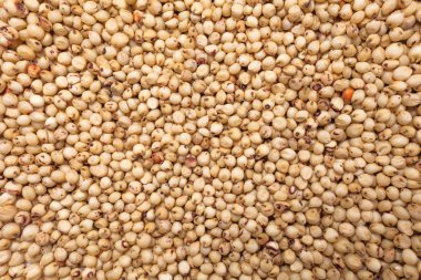 Doğal organik böbrek soya fasulyesi makro görünümü arka plan üzerinde