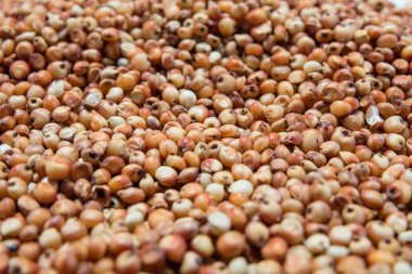 Doğal organik böbrek soya fasulyesi makro görünümü arka plan üzerinde