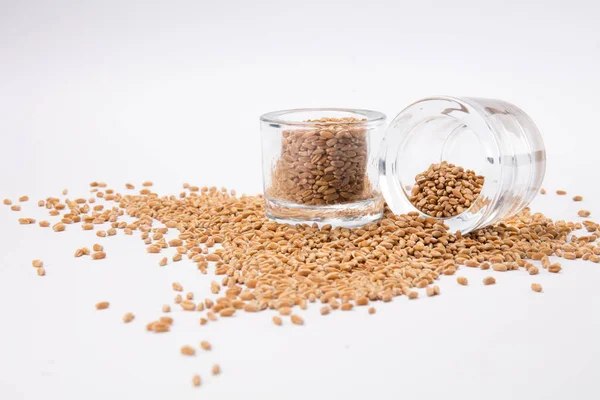 Beyaz zemin üzerinde bir cam kavanoza bir dağınık buğday tanelerinin üstten görünüm