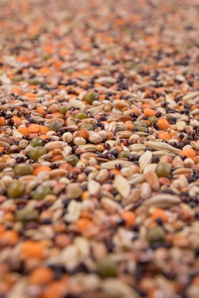 トップ ビューは別の豆のクローズ アップや白い背景の種子 — ストック写真