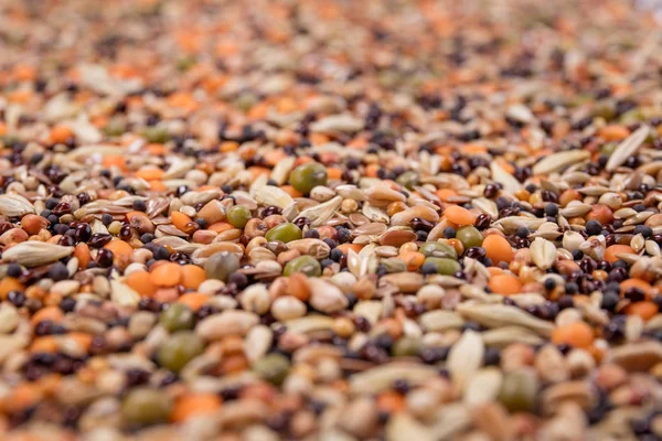 在白色背景上查看不同 Bean 和种子的顶部视图 — 图库照片