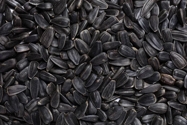 Macro view of natural organic sunflower seeds on background