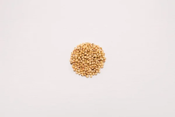 Macro view of natural organic kidney soya beans on background