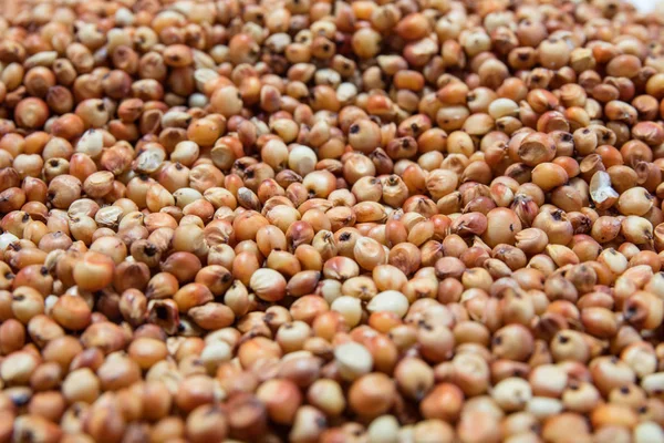 Doğal organik böbrek soya fasulyesi makro görünümü arka plan üzerinde