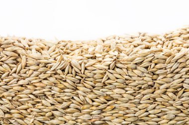 Yulaf tohumu beyaz arka plan üzerinde izole bölümünde tabakası. Tarım poster kavramı