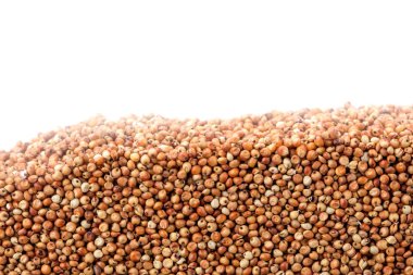 Barbunya fasulyesi beyaz arka plan üzerinde izole bölümünde tabakası. Tarım poster kavramı