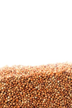 Barbunya fasulyesi beyaz arka plan üzerinde izole bölümünde tabakası. Tarım poster kavramı