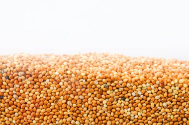 Barbunya fasulyesi beyaz arka plan üzerinde izole bölümünde tabakası. Tarım poster kavramı