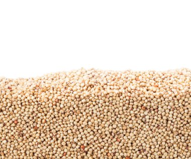 Barbunya fasulyesi beyaz arka plan üzerinde izole bölümünde tabakası. Tarım poster kavramı