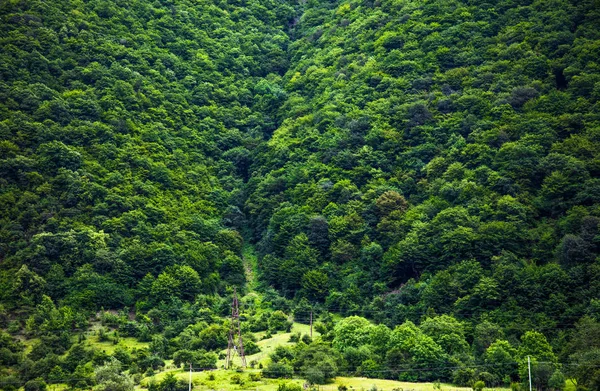 Летний Вид Горы Джорджии Откройте Себя Мир Красоты — стоковое фото