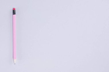 Pembe kalem pastel gri arka plan üzerinde yatıyor. Minimal yaz konsepti.