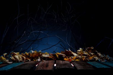 Cadılar Bayramı balkabakları için korkunç bir yer. Poster konsepti