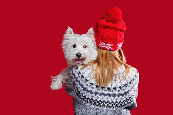 Westie dog at the womans shoulder against red background