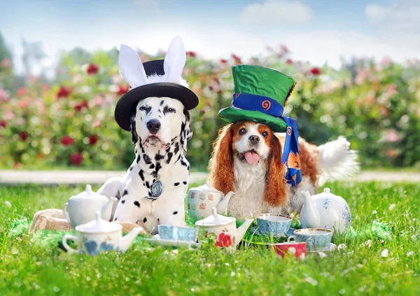 Two dogs at the lawn having tea party in carnival costumes