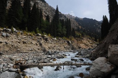 Dağlık bir nehirle kayalık bir geçitten geçmek.