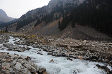 Dağlık bir nehirle kayalık bir geçitten geçmek.