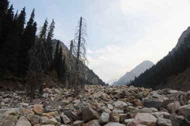 Dağlarda sürünürken düşen büyük bir taş yığını.