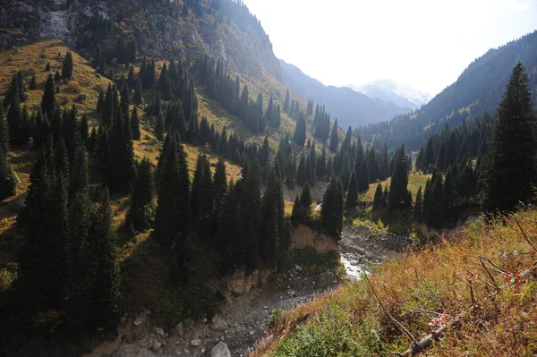 Almaty Kazakistan 2014 Özel Ekipmanlı Tırmanışçılar Dağlara Tırmanıyor Dağlık Bir — Stok fotoğraf