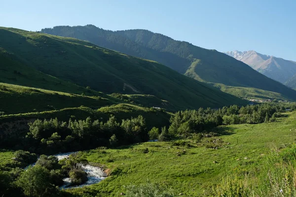 放牧动物的丘陵地带植被 哈萨克斯坦东南部的阿拉木图地区的领土 — 图库照片
