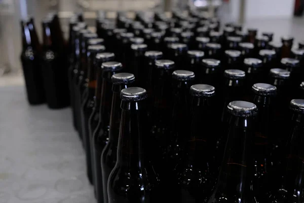 Bottles are ready for labeling on the plant for the production of beer