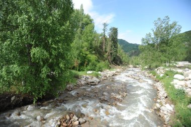 Almaty / Kazakistan - 06.09.2011: Bir kasırga tarafından devrilen ağaçların temizlenmesi. Kamu görevlileri dağların etrafındaki merkez yollardaki kütükleri görmüş ve kaldırmışlar..