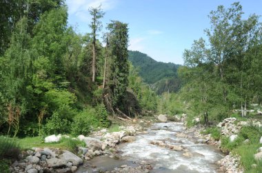 Almaty / Kazakistan - 06.09.2011: Bir kasırga tarafından devrilen ağaçların temizlenmesi. Kamu görevlileri dağların etrafındaki merkez yollardaki kütükleri görmüş ve kaldırmışlar..