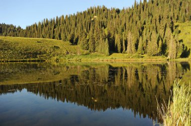 Nehrin geniş bir vadide, farklı bitki örtüsüne sahip tepelerin arka planına doğru taşması. Günün gün batımı.