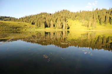 Nehrin geniş bir vadide, farklı bitki örtüsüne sahip tepelerin arka planına doğru taşması. Günün gün batımı.