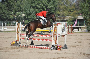 Almaty bölgesi / Kazakistan - 10.08.2011: Atlama yarışı. Atletler ve atları tahta engellerle dolu bir platformda antrenman yapıyorlar.