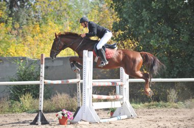 Almaty bölgesi / Kazakistan - 10.08.2011: Atlama yarışı. Atletler ve atları tahta engellerle dolu bir platformda antrenman yapıyorlar.