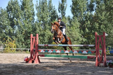 Almaty bölgesi / Kazakistan - 10.08.2011: Atlama yarışı. Atletler ve atları tahta engellerle dolu bir platformda antrenman yapıyorlar.