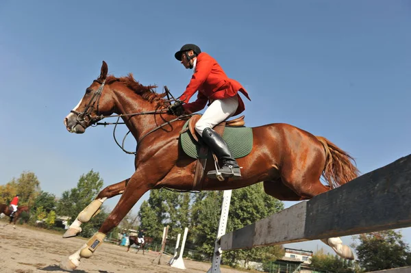 Almaty Region Kazakhstan 2011 Jumping Competition 运动员和他们的马在有木制障碍物的平台上训练 — 图库照片