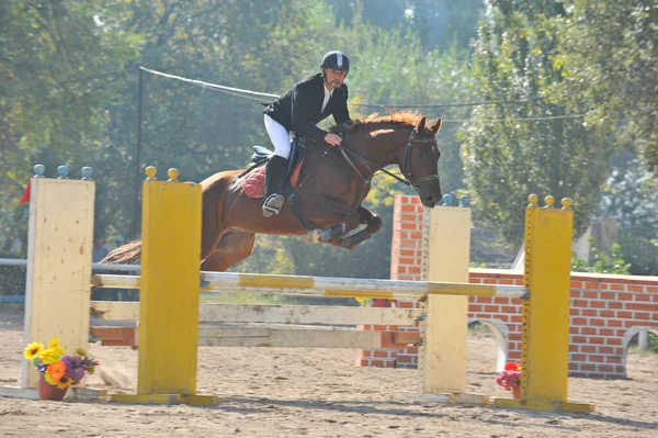 Almaty Region Kazakhstan 2011 Jumping Competition 运动员和他们的马在有木制障碍物的平台上训练 — 图库照片