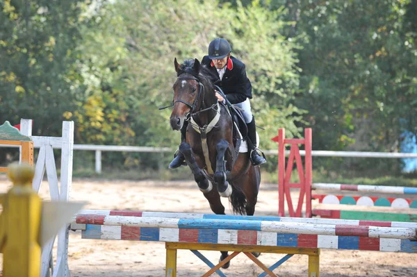 Almaty Region Kazakhstan 2011 Jumping Competition 运动员和他们的马在有木制障碍物的平台上训练 — 图库照片