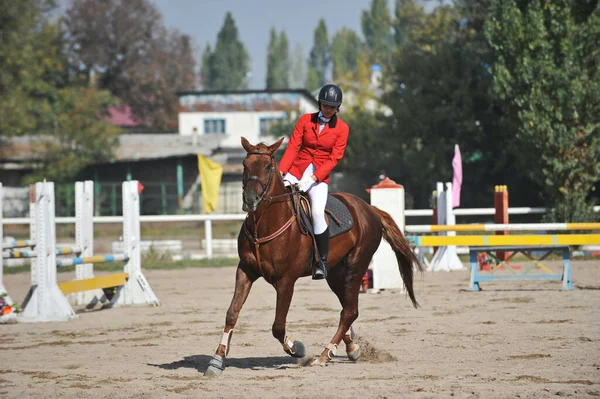 Almaty Region Kazakhstan 2011 Jumping Competition Athletes Horses Train Platform — Stock Photo, Image