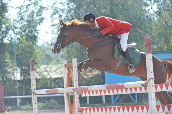 Almaty Region Kazakhstan 2011 Jumping Competition Atletas Seus Cavalos Treinam — Fotografia de Stock