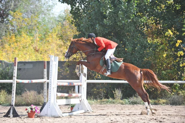 Almaty Region Kazakhstan 2011 Jumping Competition Atletas Seus Cavalos Treinam — Fotografia de Stock