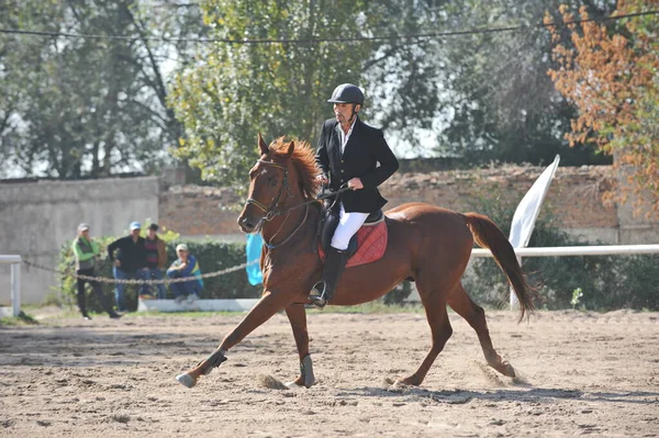 Almaty Region Kazakhstan 2011 Jumping Competition 运动员和他们的马在有木制障碍物的平台上训练 — 图库照片