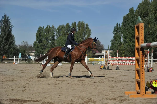 アルマトイ カザフスタン 2011 ジャンプ競技 アスリートと馬は木の障害物を持つプラットフォーム上で訓練します — ストック写真