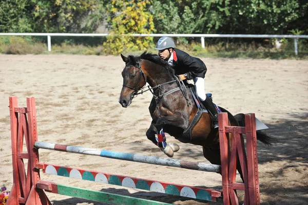 Almaty Region Kazakhstan 2011 Jumping Competition Atletas Seus Cavalos Treinam — Fotografia de Stock