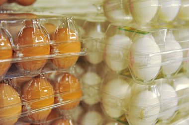 Almaty / Kazakistan - 10.11.2011: Büyük bir süpermarkette çiftliklerden düzinelerce yumurta