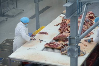 Almaty / Kazakistan - 08.18.2020: Sosis ve et ürünleri üretim fabrikası. İşçiler bileşenleri söker