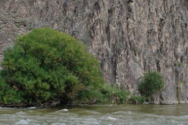 Nehir Charyn kanyonu boyunca akar..