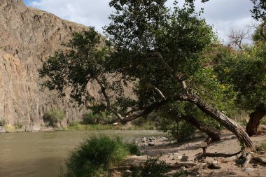 Nehir Charyn kanyonu boyunca akar..