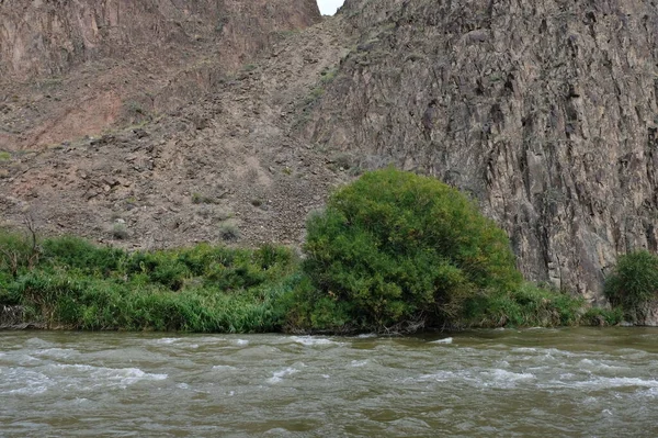 Río Fluye Largo Del Cañón Charyn — Foto de Stock
