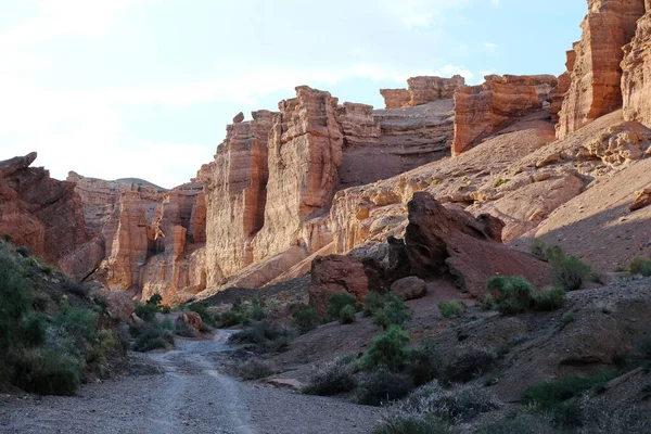 Végétation Différente Dans Canyon Charyn Arbustes Arbres Herbe — Photo