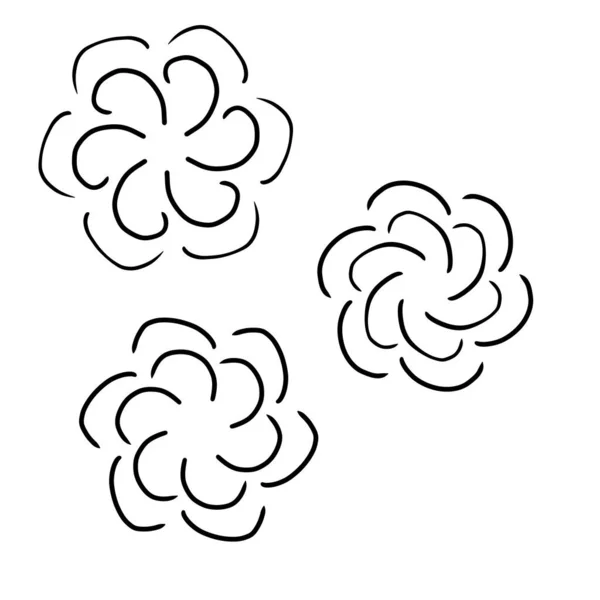 Three Flowers Black White Background — Stock Photo, Image