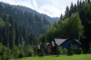 Almaty / Kazakistan - 09.02.2020: Ağaçlar ve yeşil çimenler arasında dağlık bir alanda çeşitli evler.